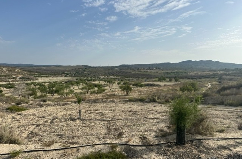 Revente - Plot of Land - Torremendo