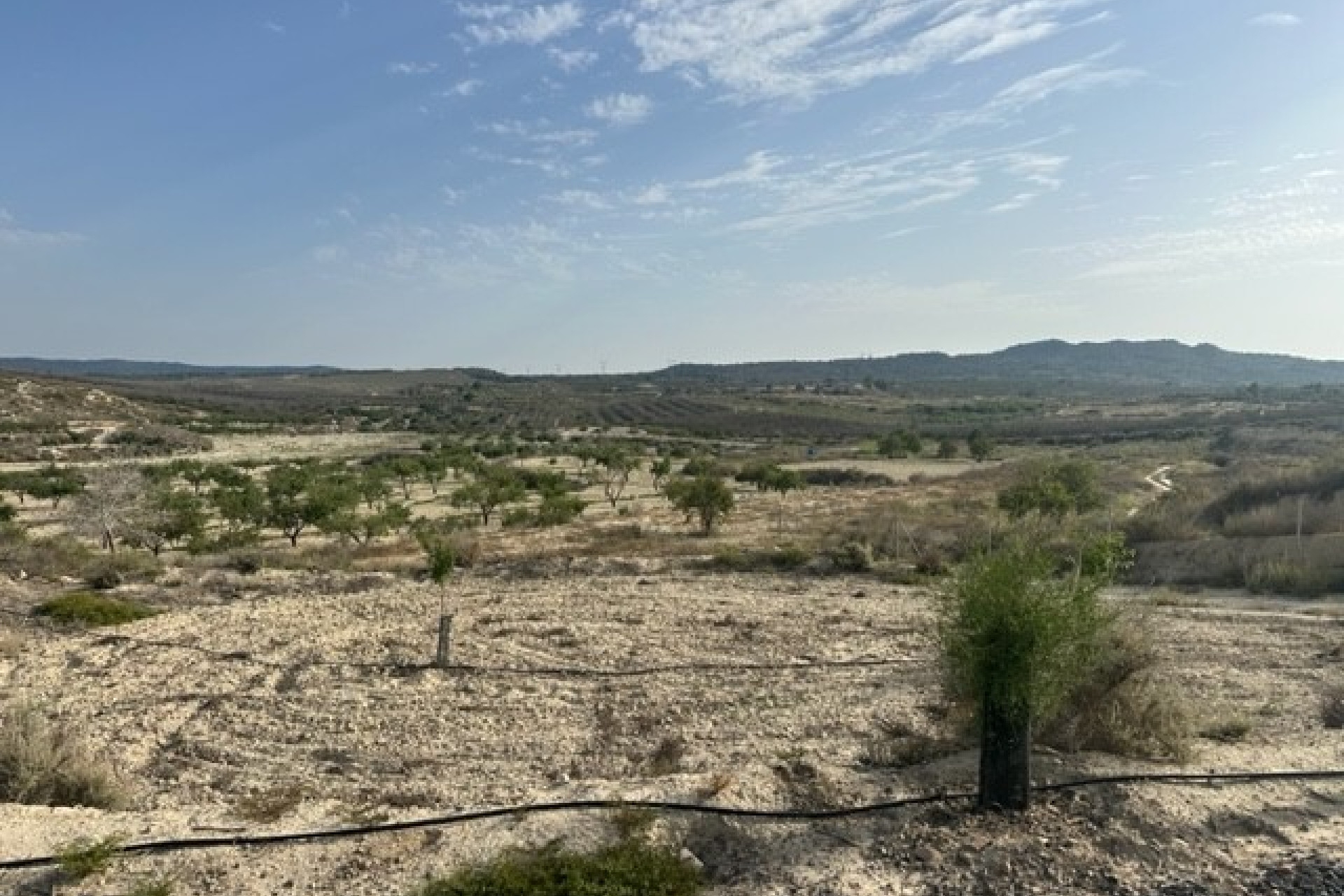 Revente - Plot of Land - Torremendo