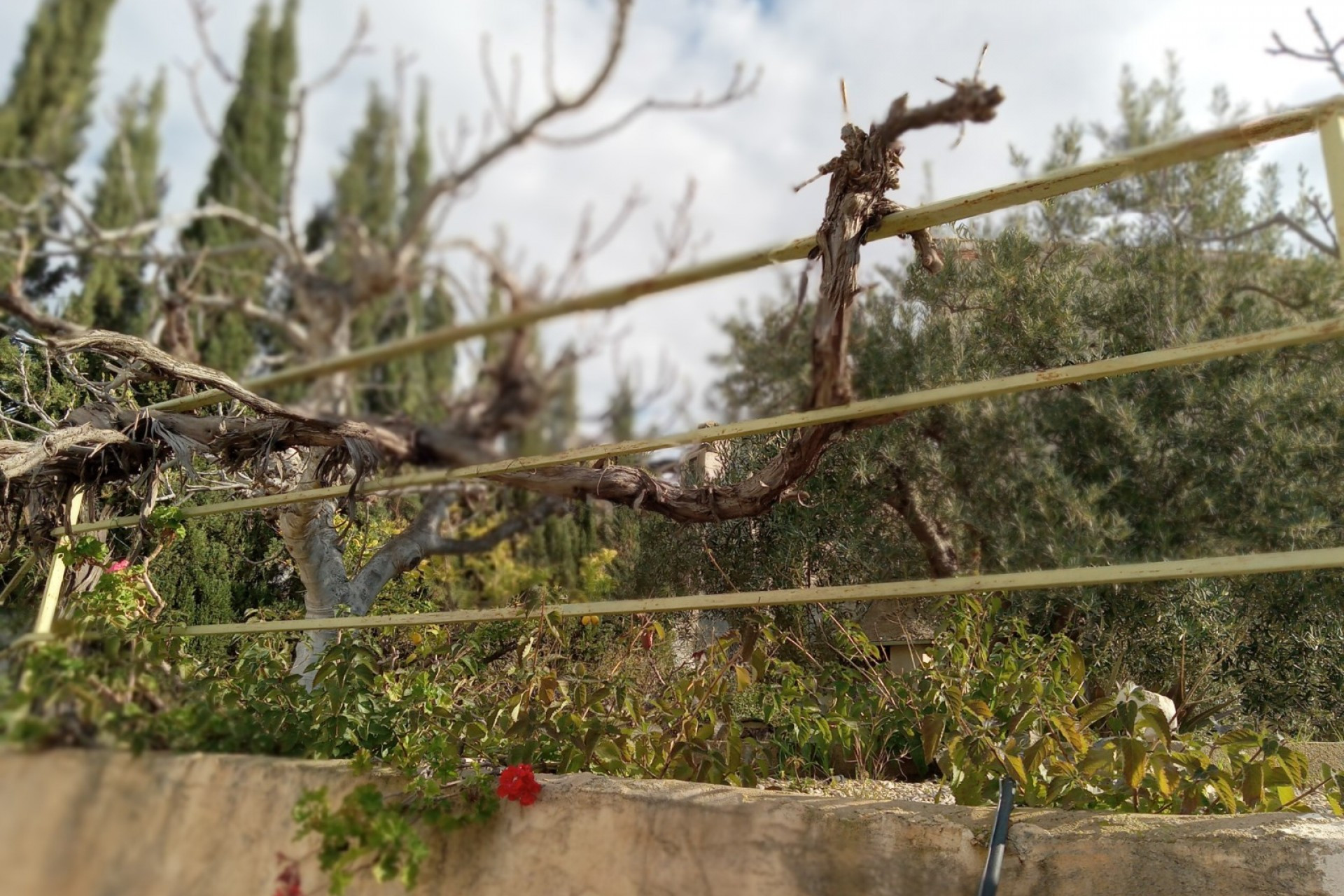 Revente - Semi-Detached - Murcia