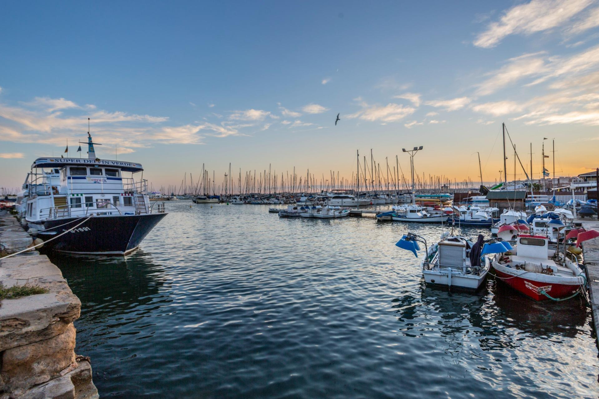 Revente - Studio - Torrevieja - Centro - Muelle Pesquero