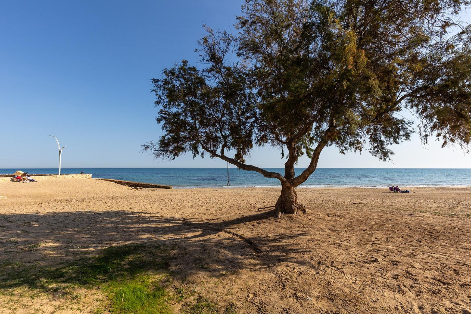 Revente - Studio - Torrevieja - La Mata