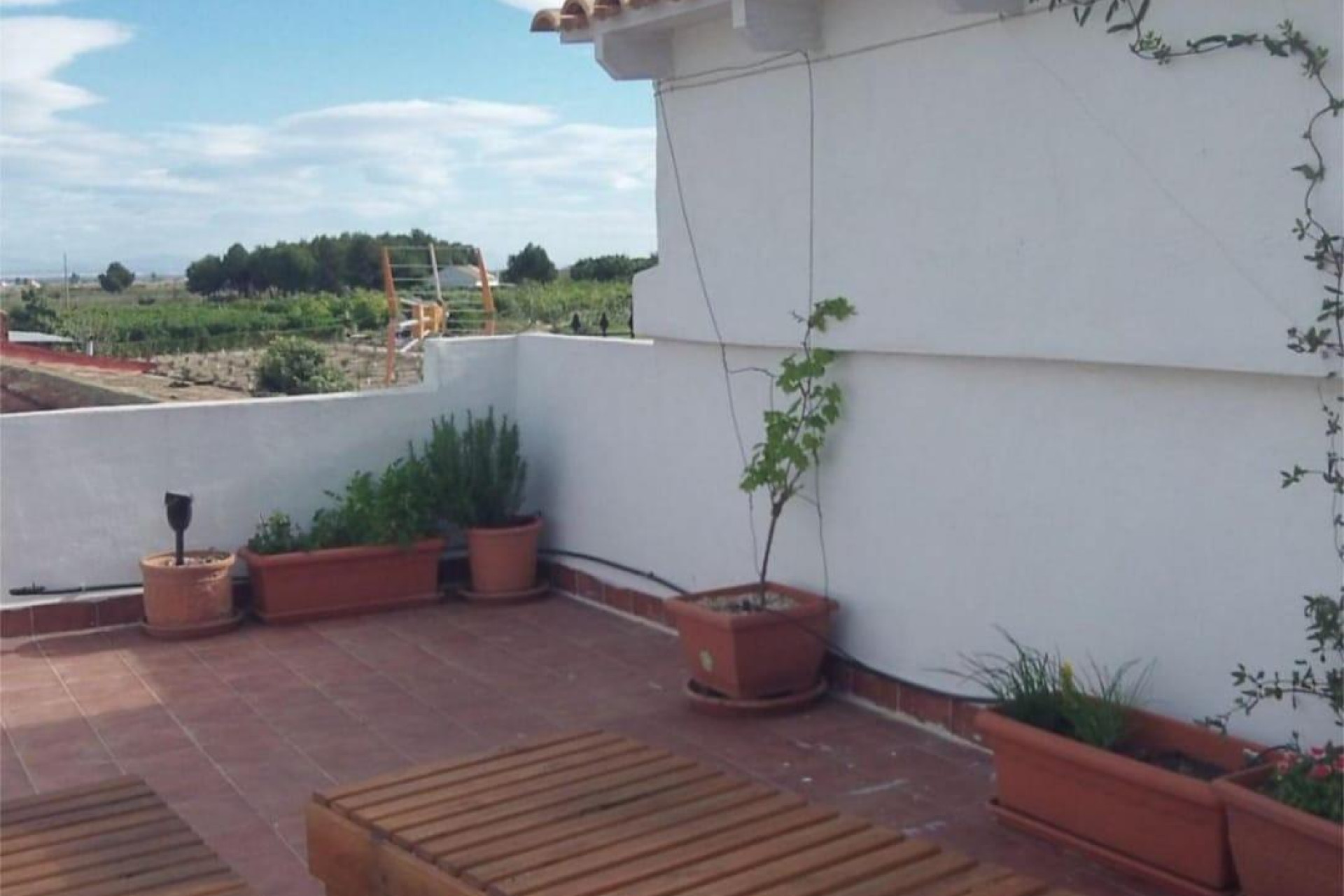 Revente - Terraced house - Almoradi - El saladar