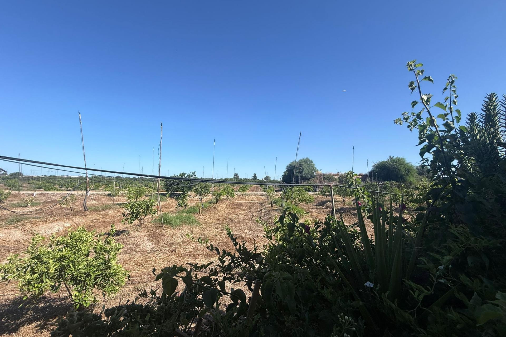 Revente - Terraced house - Almoradi - El saladar