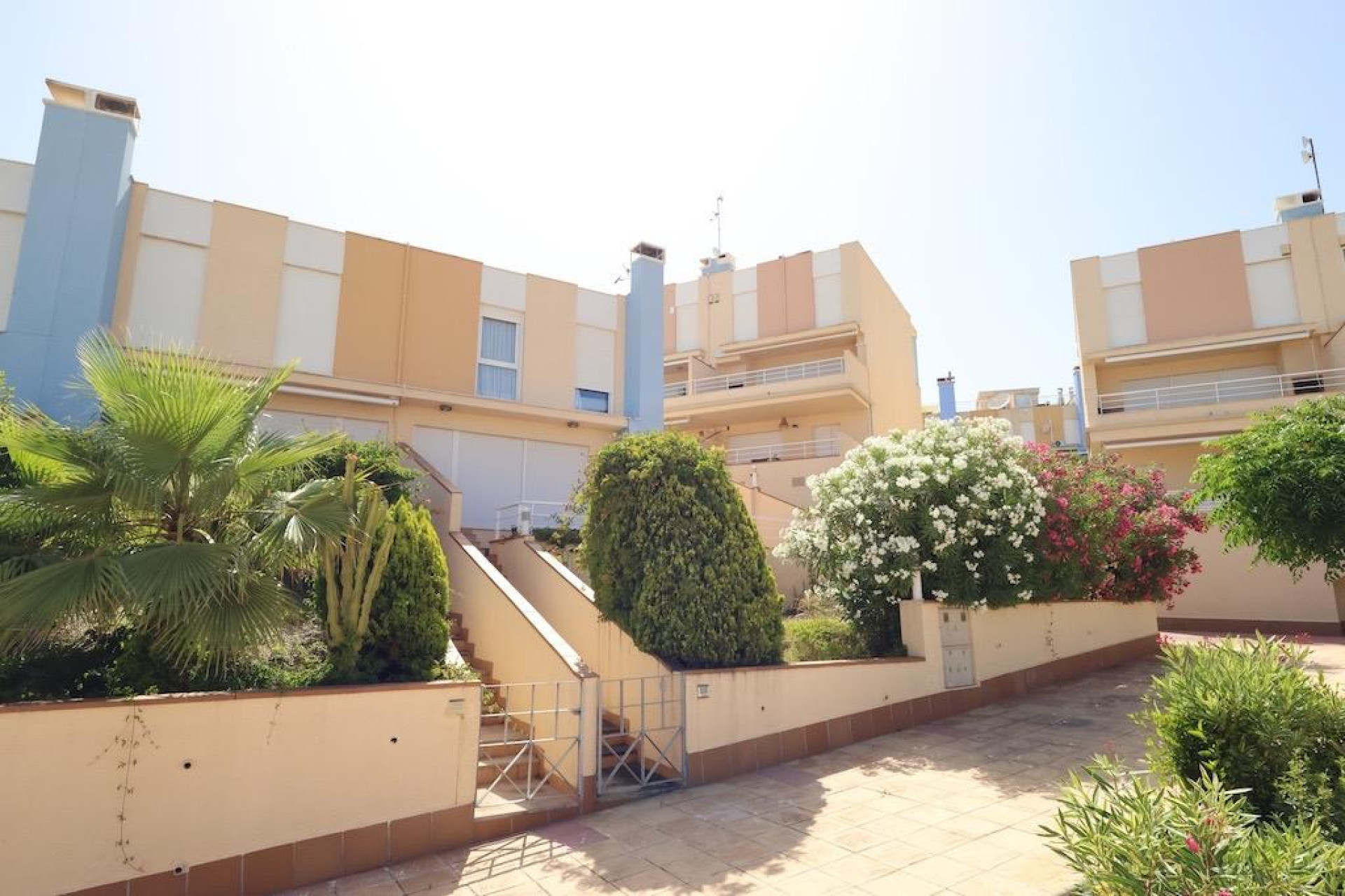 Revente - Terraced house - Orihuela Costa - Agua Marina