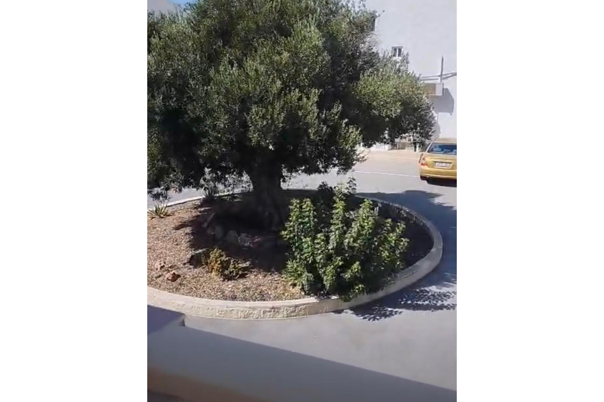 Revente - Terraced house - Torrevieja - Cabo cervera
