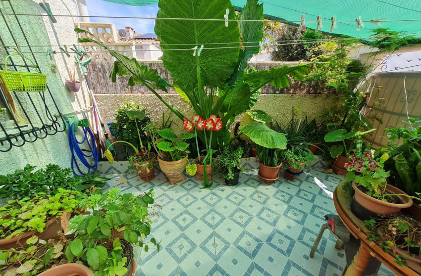 Revente - Terraced house - Torrevieja - Playa del cura