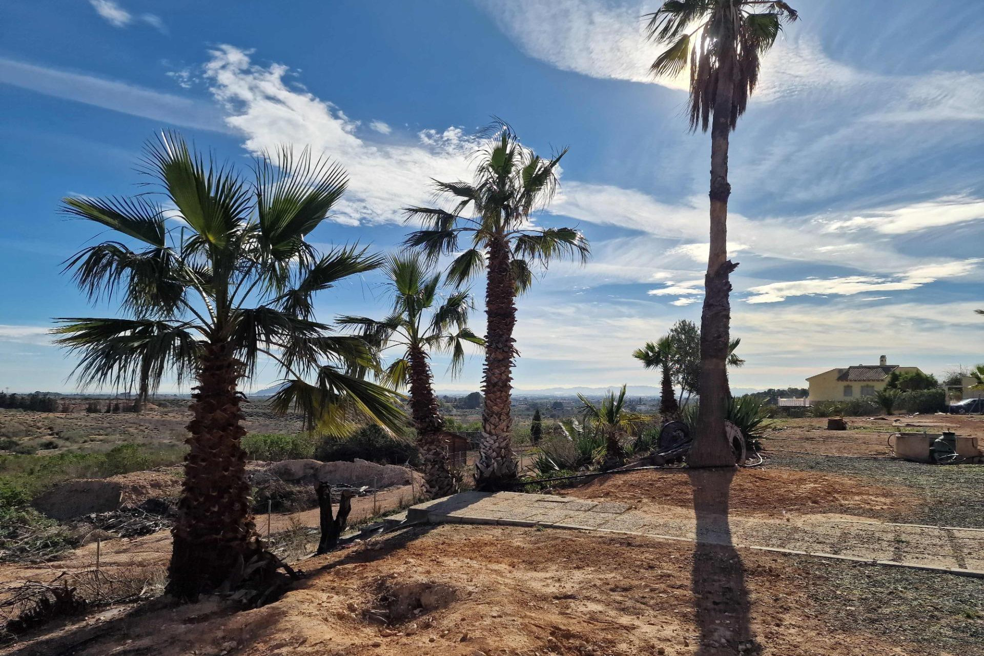 Revente - Villa - Cieza