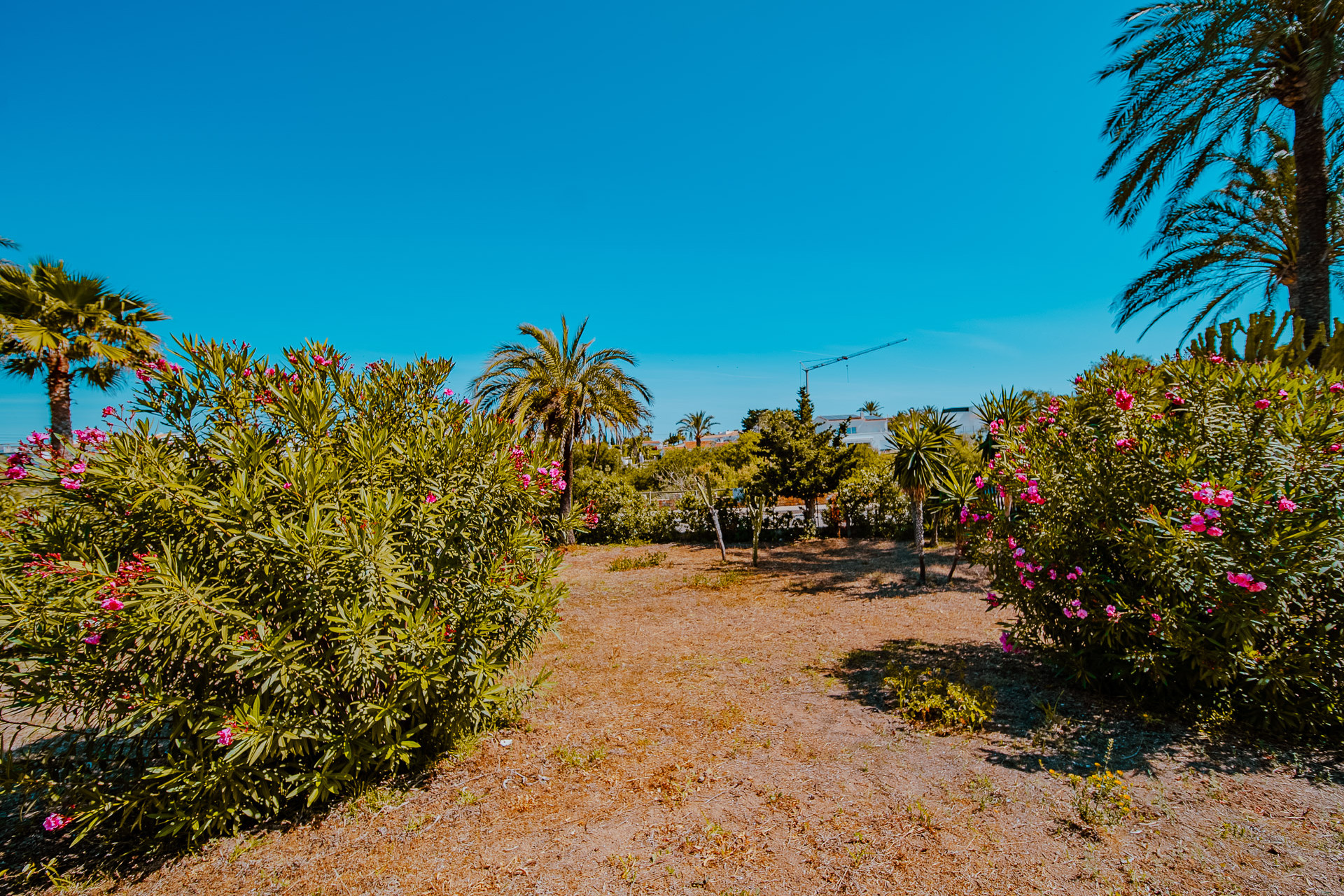 Revente - Villa - Orihuela Costa - Playa Flamenca