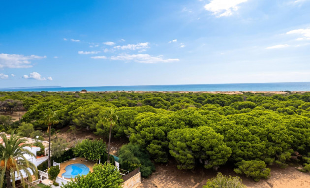 Studio - Reventa - Guardamar del Segura - Lomas de Polo-Pinomar