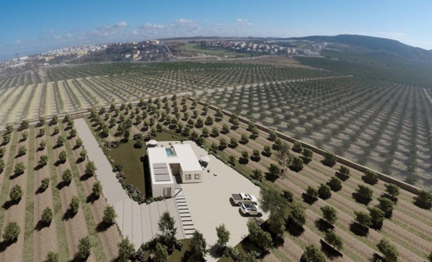 Villa - New Build - Algorfa - Algorfa