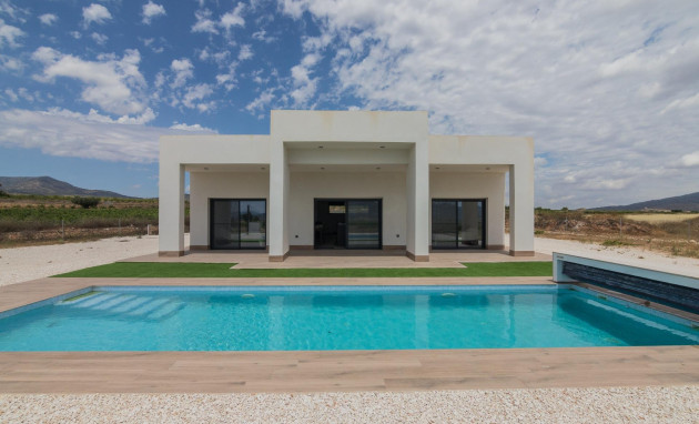 Villa - New Build - Pinoso - Lel