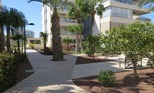 Herverkoop - Appartement - Studio - Orihuela Costa - Villamartín