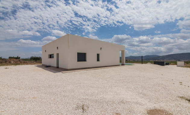 Obra nueva - Villa - Pinoso - Campo