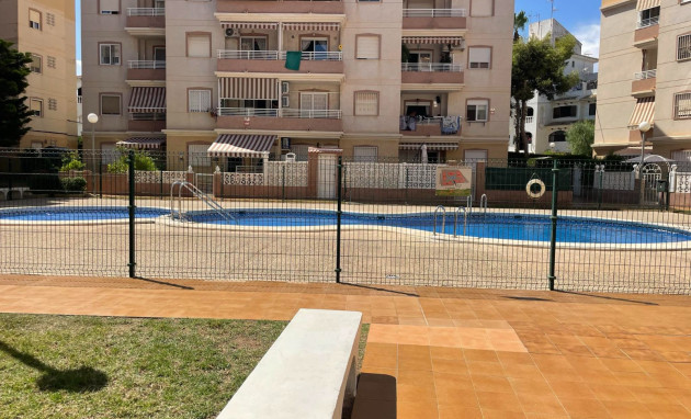 Revente - Apartment - Torrevieja - torrevieja