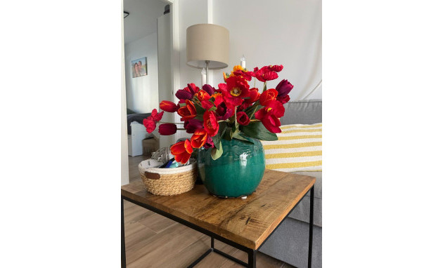 Revente - Apartment - Torrevieja - torrevieja