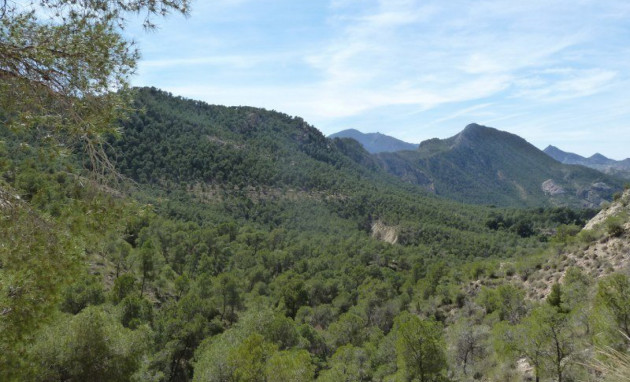 Revente - Semi-Detached - Murcia