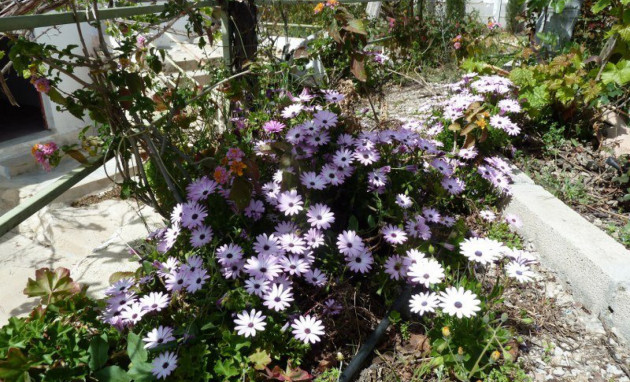 Revente - Semi-Detached - Murcia