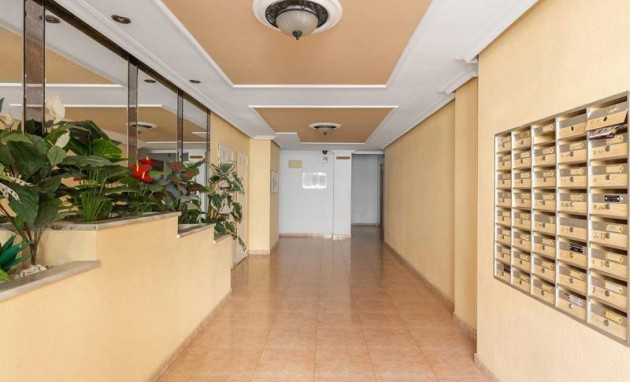 Reventa - Apartment - Torrevieja