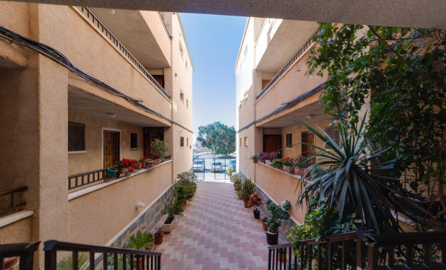 Reventa - Apartment - Torrevieja - Torretas