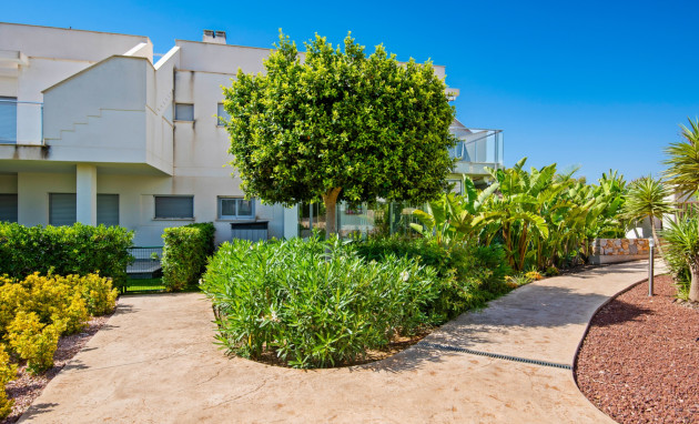 Reventa - Bungalow - Planta Baja - Orihuela - Vistabella Golf