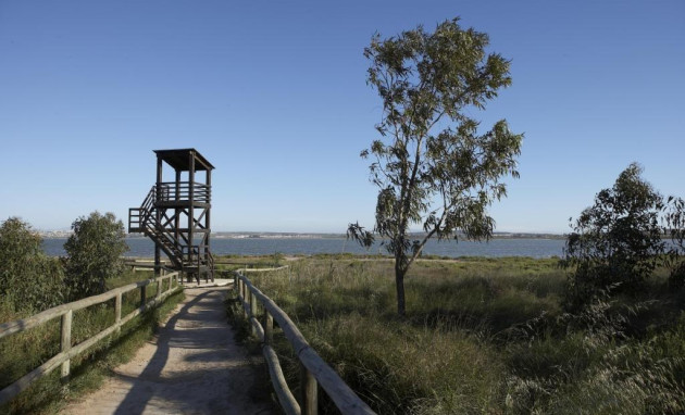 Nieuwbouw - Bungalow - Gelijkvloers - Torrevieja - Aguas Nuevas