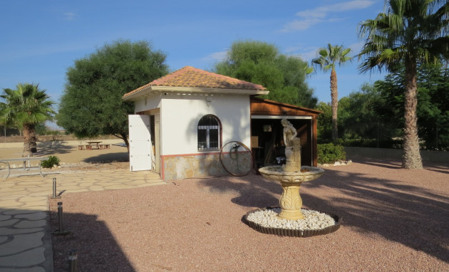 Herverkoop - Finca / Country Property - Daya Vieja