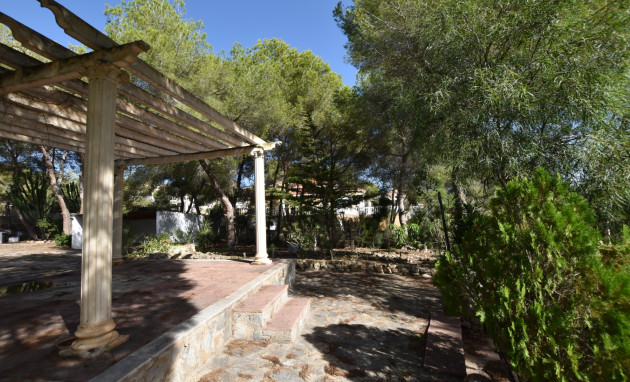 Revente - Finca - Algorfa - Montemar