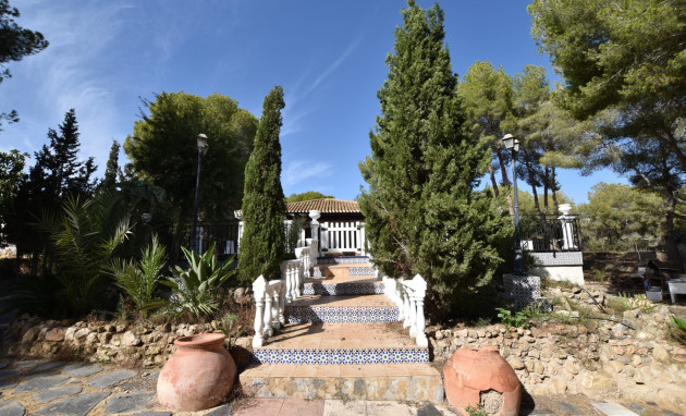 Revente - Finca - Algorfa - Montemar