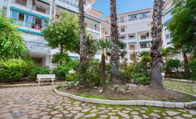 Herverkoop - Apartment - Torrevieja - La Mata