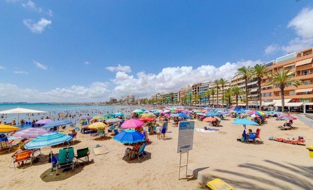 Herverkoop - Studio - Torrevieja - Estacion de autobuses