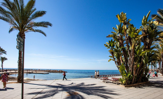 Herverkoop - Studio - Torrevieja - Estacion de autobuses