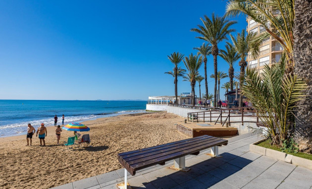 Herverkoop - Studio - Torrevieja - Estacion de autobuses