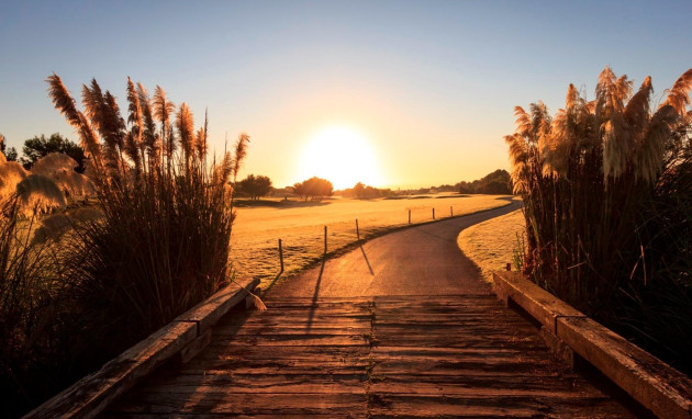 Nieuwbouw - Villa - Pilar de la Horadada - Lo Romero Golf