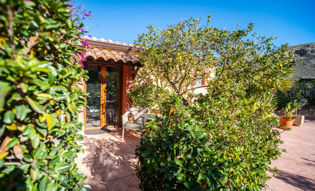 Revente - Commercial - Hondón de las Nieves