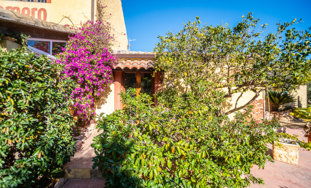 Revente - Commercial - Hondón de las Nieves