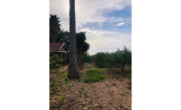 Herverkoop - Country Property - Orihuela - La Murada-Los Vicentes