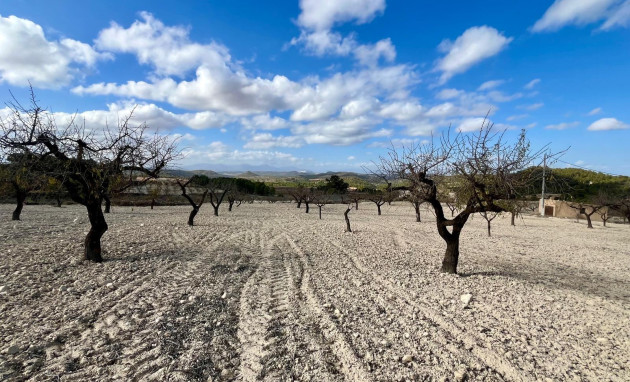Herverkoop - Perceel / Grond - Bullas - Costa Calida