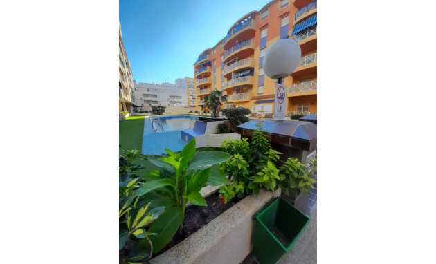 Herverkoop - Apartment - Torrevieja - Centro