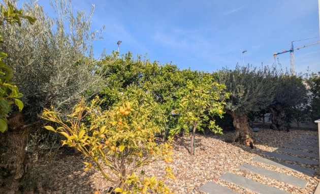 Revente - Detached Villa - Benijofar