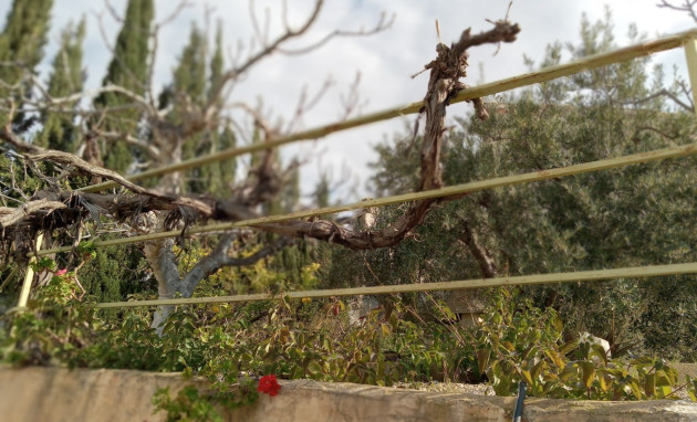 Revente - Semi-Detached - Murcia