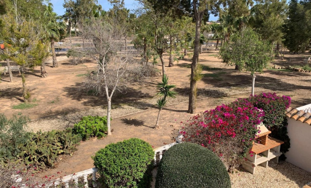 Herverkoop - Detached House / Villa - Guardamar del Segura - EL RASO