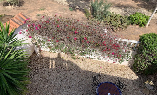 Herverkoop - Detached House / Villa - Guardamar del Segura - EL RASO