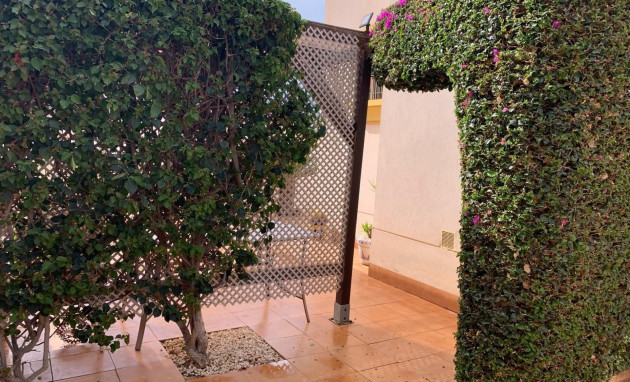 Herverkoop - Detached House / Villa - Guardamar del Segura - EL RASO