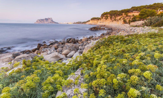 Nieuwbouw - Villa - Benissa - Cala Advocat