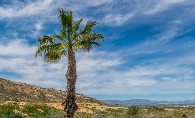 Herverkoop - Apartment - Algorfa - LA FINCA GOLF / ALGORFA