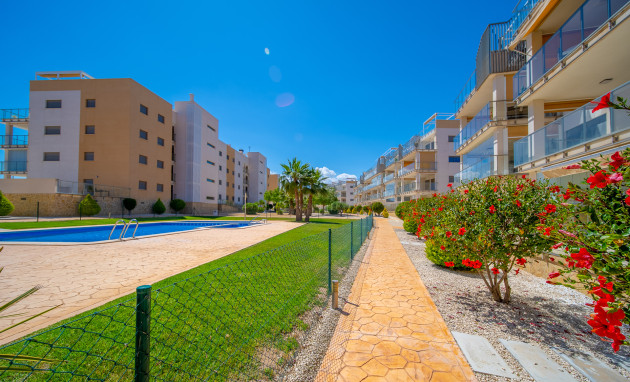 Revente - Apartment - Penthouse - Orihuela Costa - Villamartin