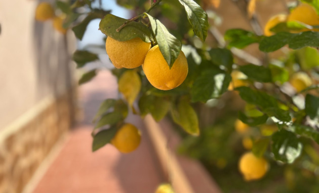 Herverkoop - Villa - Algorfa - Lomas de Juliana