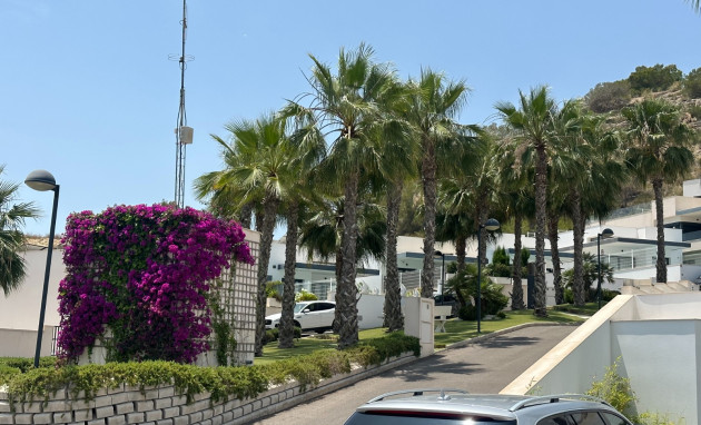 Herverkoop - Villa - San Miguel de Salinas - San Miguel Salinas