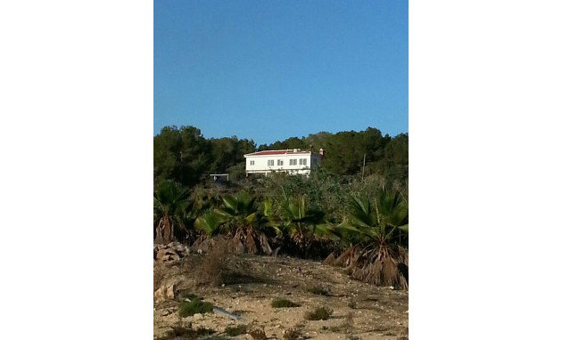 Herverkoop - Country Property - Torrevieja - Los balcones