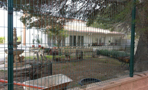 Herverkoop - Country Property - Torrevieja - Los balcones